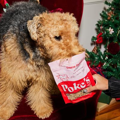 Show full view: Poke's Beef Liver Freeze-Dried Dog Treats, 3-oz bag slide 4 of 9