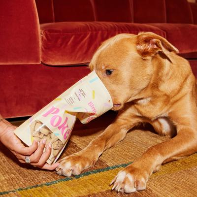 Show full view: Poke's Birthday Cake Biscuit Crunchy Dog Treats, 8-oz bag slide 7 of 8