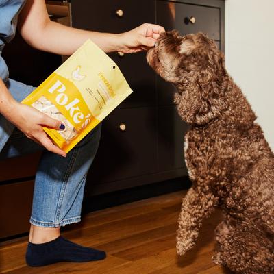 Show full view: Poke's Chicken Liver Freeze-Dried Dog Treats, 3-oz bag slide 5 of 9