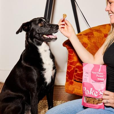 Show full view: Poke's More Cheez Please Soft & Chewy Dog Treats, 8-oz bag slide 7 of 8