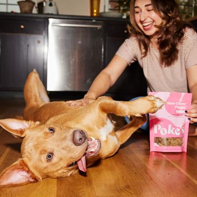 Show full view: Poke's More Cheez Please Soft & Chewy Dog Treats, 8-oz bag slide 4 of 8