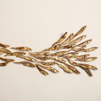 Show full view: Polkadog Atlantic Silverside Crunchy Whole Fish Dehydrated Dog & Cat Treats, 2.5-oz bag slide 5 of 6