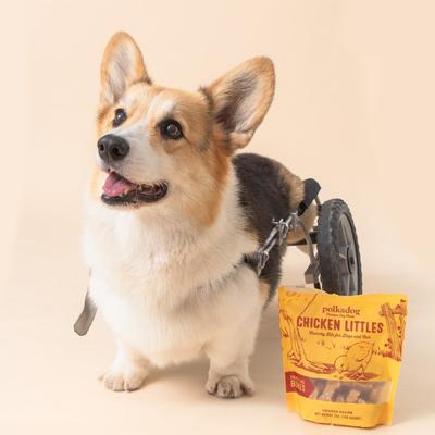 Show full view: Polkadog Chicken Littles Bone Shaped Dehydrated Dog & Cat Treats, 7-oz bag slide 6 of 8