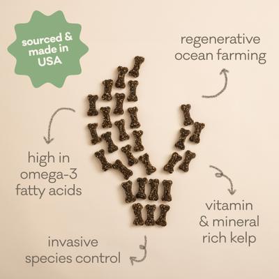 Show full view: Polkadog Green Monstah Bones Crunchy Dog Treats, 7-oz bag slide 4 of 8