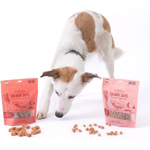 Polkadog Salmon Says Training Bits Crunchy Dehydrated Dog & Cat Treats, 7-oz bag