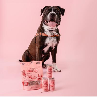 Show full view: Polkadog Salmon Says Training Bits Crunchy Dehydrated Dog & Cat Treats, 7-oz bag slide 7 of 8