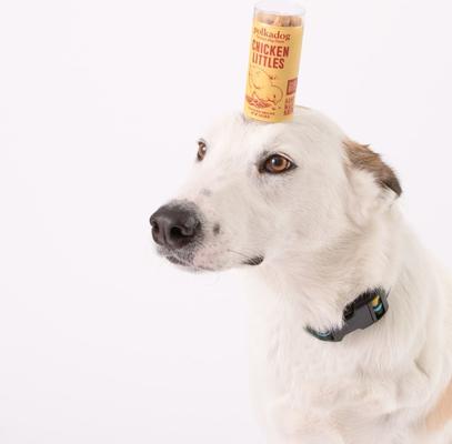 Show full view: Polkadog Sfizis Chicken Little Recipe Dehydrated Dog Treats, 2-oz tube slide 5 of 6