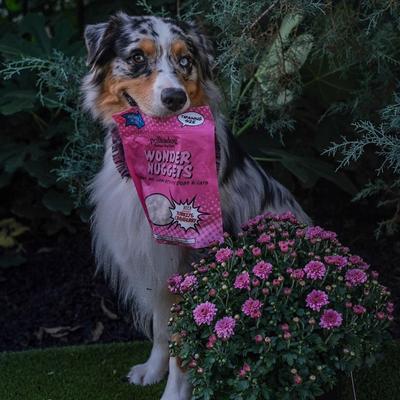 Show full view: Polkadog Wonder Nuggets Turkey & Cranberry Flavor Soft & Chewy Dog Treats, 10-oz bag slide 7 of 8