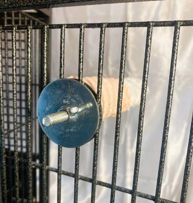 Show full view: Polly's Pet Products Banana Split Cuttlebone & Calcium Bird Perch, Orange & White, Large slide 6 of 11