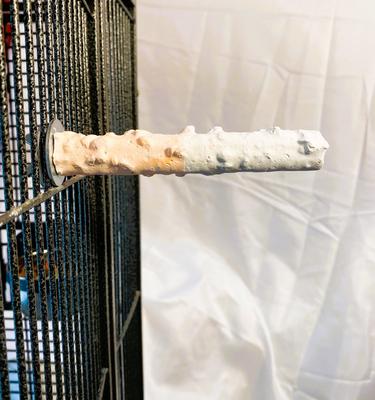 Show full view: Polly's Pet Products Banana Split Cuttlebone & Calcium Bird Perch, Orange & White, Small slide 5 of 11