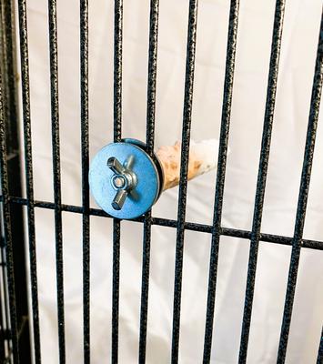 Show full view: Polly's Pet Products Banana Split Cuttlebone & Calcium Bird Perch, Orange & White, Small slide 6 of 11