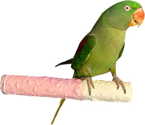 Show full view: Polly's Pet Products Banana Split Cuttlebone & Calcium Bird Perch, Pink & White, Large slide 2 of 11