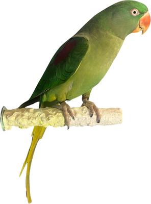 Show full view: Polly's Pet Products Banana Split Cuttlebone & Calcium Bird Perch, yellow & White, Medium slide 2 of 11