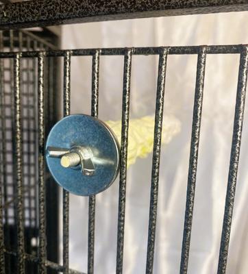 Show full view: Polly's Pet Products Banana Split Cuttlebone & Calcium Bird Perch, yellow & White, Medium slide 6 of 11