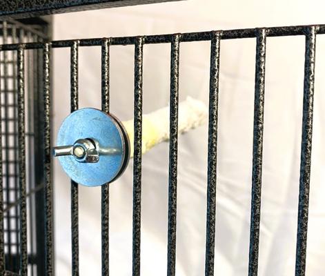 Show full view: Polly's Pet Products Banana Split Cuttlebone & Calcium Bird Perch, yellow & White, Small slide 6 of 11