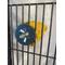 Show in main carousel: Polly's Pet Products Beach Sands Bird Perch, Gold, Large slide 6 of 11