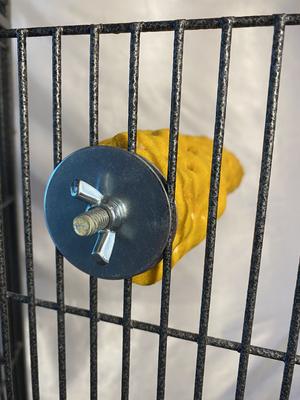 Show full view: Polly's Pet Products Beach Sands Bird Perch, Gold, Large slide 6 of 11