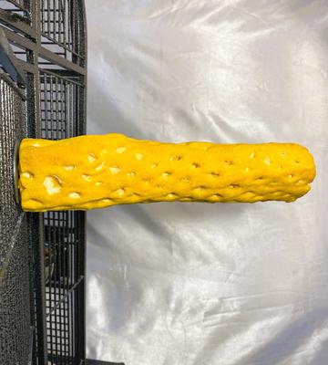 Show full view: Polly's Pet Products Beach Sands Bird Perch, Gold, Large slide 5 of 11