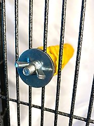 Polly's Pet Products Beach Sands Bird Perch, Gold, Medium slide 2 of 8