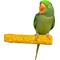 Show in main carousel: Polly's Pet Products Beach Sands Bird Perch, Gold, Medium slide 2 of 8