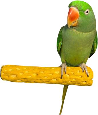 Show full view: Polly's Pet Products Beach Sands Bird Perch, Gold, Medium slide 2 of 8