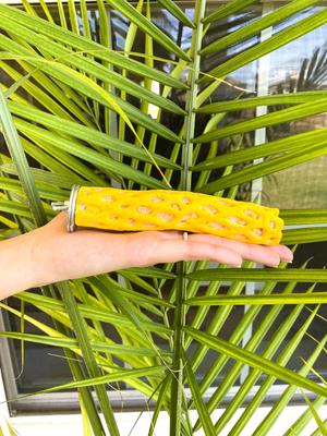 Show full view: Polly's Pet Products Beach Sands Bird Perch, Gold, Small slide 7 of 9