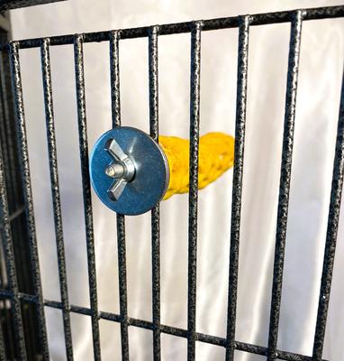 Show full view: Polly's Pet Products Beach Sands Bird Perch, Gold, Small slide 4 of 9