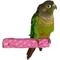 Show in main carousel: Polly's Pet Products Beach Sands Bird Perch, Purple, Small slide 2 of 11