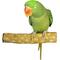 Show in main carousel: Polly's Pet Products Beach Sands Bird Perch, Tan, Medium slide 2 of 11