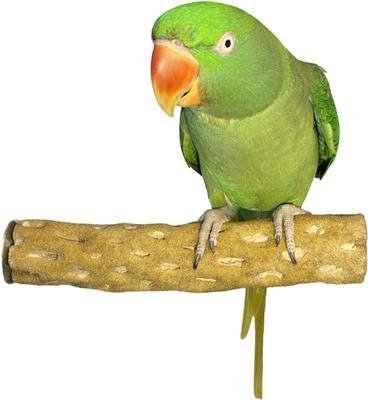 Show full view: Polly's Pet Products Beach Sands Bird Perch, Tan, Medium slide 2 of 11