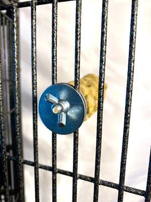 Show full view: Polly's Pet Products Beach Sands Bird Perch, Tan, Small slide 4 of 8