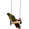 Show in main carousel: Polly's Pet Products Bird Roll or Swing, Multicolor, X-Small slide 2 of 4