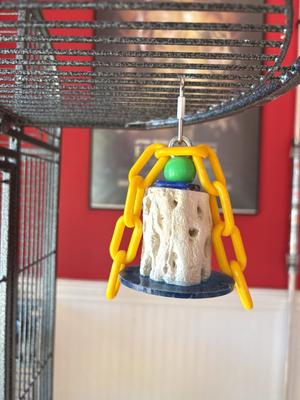 Show full view: Polly's Pet Products Cactus Beak Bird Treats, Large slide 6 of 10