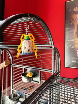 Show full view: Polly's Pet Products Cactus Beak Bird Treats, Large slide 2 of 10