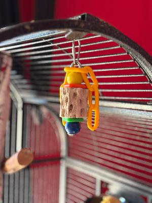 Show full view: Polly's Pet Products Cactus Beak Bird Treats, Small slide 6 of 10