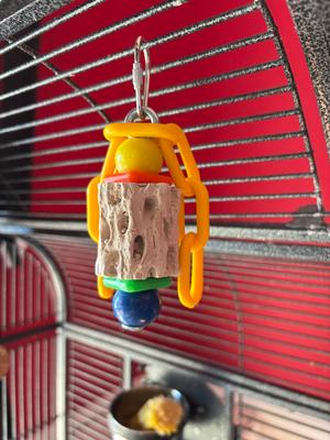 Show full view: Polly's Pet Products Cactus Beak Bird Treats, Small slide 2 of 10