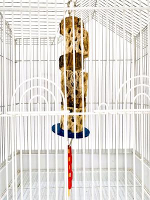 Show full view: Polly's Pet Products Cactus Delights Bird Toy, Brown, Medium slide 3 of 10