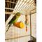 Show in main carousel: Polly's Pet Products Cactus Delights Bird Toy, Brown, Small slide 2 of 11
