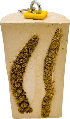 Show full view: Polly's Pet Products Cactus Snack Millet Double Bird Treats slide 6 of 9