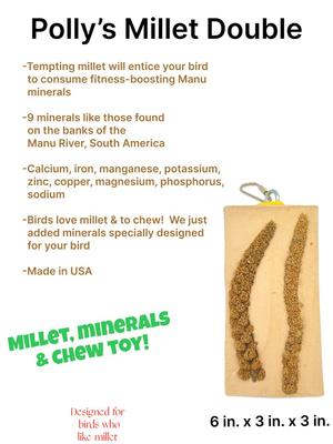 Show full view: Polly's Pet Products Cactus Snack Millet Double Bird Treats slide 2 of 9