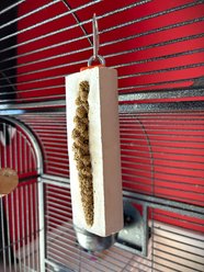 Polly's Pet Products Cactus Snack Millet Long Bird Treats slide 2 of 9