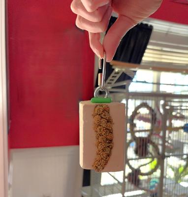 Show full view: Polly's Pet Products Cactus Snack Millet Mini Bird Treats slide 8 of 9