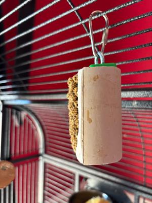 Show full view: Polly's Pet Products Cactus Snack Millet Mini Bird Treats slide 5 of 9