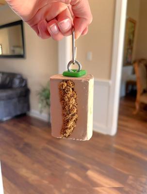 Show full view: Polly's Pet Products Cactus Snack Millet Mini Bird Treats slide 4 of 9