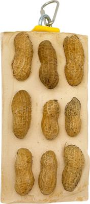 Show full view: Polly's Pet Products Cactus Snack Peanut Double Bird Treats slide 1 of 10