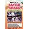 Show in main carousel: Polly's Pet Products Cactus Snack Peanut Double Bird Treats slide 4 of 10