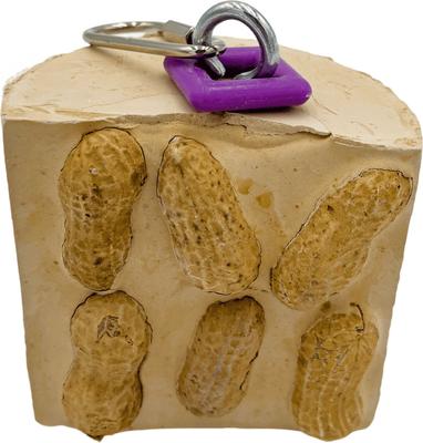 Show full view: Polly's Pet Products Cactus Snack Peanut Single Bird Treats slide 5 of 9