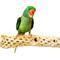 Show in main carousel: Polly's Pet Products Cholla Cactus Bird Perch, Natural wood, Large slide 1 of 9