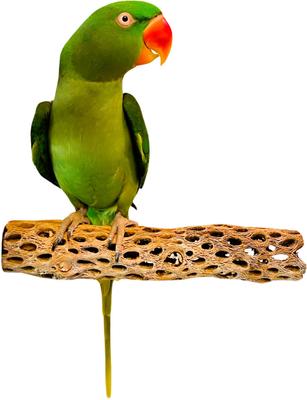 Show full view: Polly's Pet Products Cholla Cactus Bird Perch, Natural wood, Medium slide 1 of 9