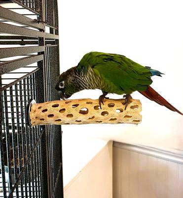 Show full view: Polly's Pet Products Cholla Cactus Bird Perch, Natural wood, Small slide 2 of 9